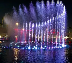 AWS Sommer beliebt individuell im Freien großer tanzender Musikbrunnen RGB DMX512 Led-Wasser-Show Edelstahl Pool Seefronne