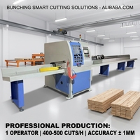 Scie à découper transversale horizontale CNC automatique haut de gamme pour bois massif, idéale pour la production de meubles en bois massif en Chine