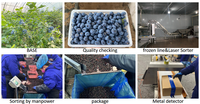 China Leverancier Lqf Berry Tru Fru Bulk Wilde Bevroren Bosbessen Met Water Behoud Prijs Vruchten