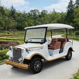 Vehículo Eléctrico de Lujo de Estilo Retro para Turismo, Configuración Personalizada, Ideal para Negocios de Turismo en Aldeas Vacacionales - Product Image 1