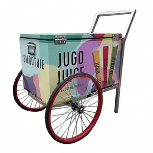 Commercial Street Cargo Bike with Fridge Freezer Bicycle Ice Cream Vending Cart Electric Tricycles for Sale Popsicle