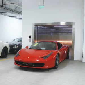 Ascensori per Auto da Villa e Parcheggio, <span class=keywords><strong>Vendita</strong></span> Diretta dalla Fabbrica, Applicabili per Ascensori Auto Residenziali Domestici - Product Image 6