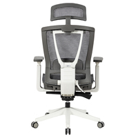 Chaises de bureau ergonomiques exécutives de luxe modernes de pleine maille à la maison avec le soutien lombaire