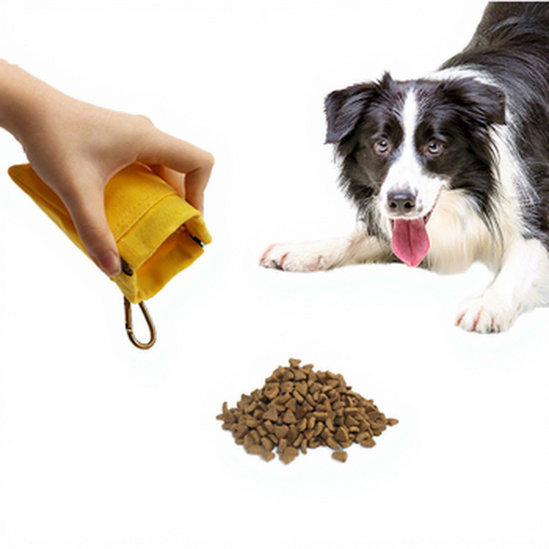 Quick Shipping Auto Closing Dog Training