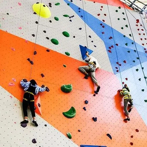 Améliorez vos compétences avec un mur d'escalade intérieur personnalisable et des auto-assureurs - Product Image 1