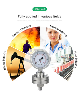 OEM Customizável 2.5 Inch (60mm) Ar Óleo Água Hidráulica Manômetro Diafragma Pequeno Manômetro - Product Image 6