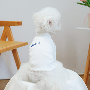 PETCIRCLE Ropa para Mascotas de Primavera y Otoño, Ropa para Perros Pequeños, Cachorros y Gatos, Camiseta con Letras - Product Image 1
