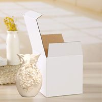 Boîtes postales blanches ondulées simples recyclées écologiques personnalisées
