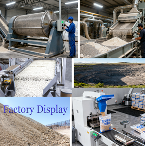 프리미엄 브랜드 친환경 ISO9001 인증 먼지 없는 냄새 차단 강력 응집 100% 천연 벤토나이트 고양이 모래 - Product Image 6