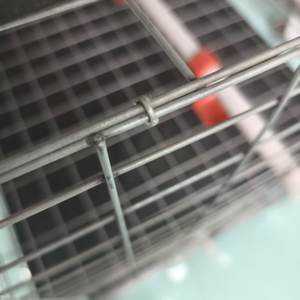 Yüksek Kaliteli 96-160 Tavuk Kapasiteli Katmanlı Tavuk Kafesi Çiftlik Tasarımı Tavuk Kümesi Kümes Hayvanları Batarya Çiftliği Yumurtlama Tipi Tavuk Kafesi Satılık - Product Image 4