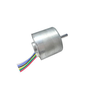 Velocidade ajustável 12V/24V Brushless <span class=keywords><strong>DC</strong></span> Motors Long-vida & qualidade regulando para o uso do barco direto do fabricante - Product Image 1