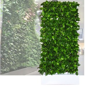 Fioriera Verticale da Interno Impermeabile per Parete Verde - Product Image 4
