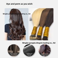 Extensions de cheveux Remy sans couture, type plume, avec ligne de cristal européenne, pour femmes, en paquets, fixation par fusion, pointes épaisses, pour teinture DIY