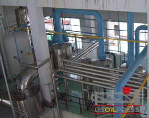 Dingsheng 100TPD presse à chaud Machine extracteur d'huile de palmiste d'arachide pour les industries de l'huile d'olive fabriquées en Chine - Product Image 6