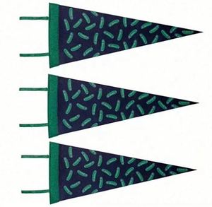 Banderoles triangulaires en feutre pour universités, impression numérique personnalisable professionnelle, portables, imperméables et écologiques - Product Image 3