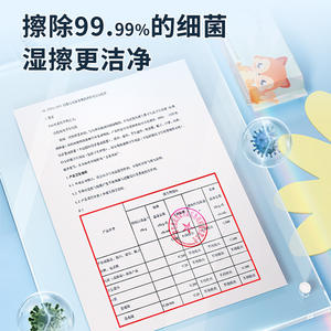 Hainuo Travel <b>Toilet</b> Wipes 100g Non Woven Cleaning Tissues For Home Use - Product Image 3