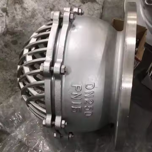 Vanne de pied inférieure ANSI 4 pouces 150lb en acier inoxydable moulé CF8 raccord à bride de crépine de levage avec <span class=keywords><strong>pompe</strong></span> à eau à écran 304 - Product Image 5