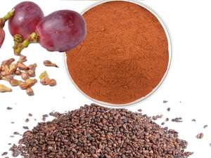 ブドウ种子エキス95% OPC | 天然ポリフェノール | 植物ベースの抗酸化粉末 | 食品グレード | バルクサプライ - Product Image 2