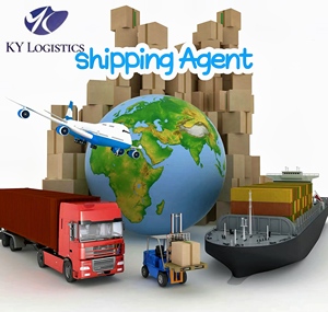 Agente de envío de Brasil Servicio de carga marítima de <span class=keywords><strong>China</strong></span> a Agencia de envío marítimo Logística DDP
