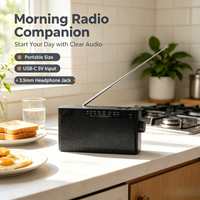 Radio portable AM/FM de type pointeur, récepteur compact noir élégant avec antenne télescopique et poignée de transport