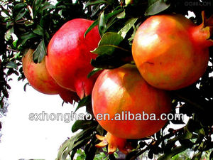 Nhà máy cung cấp chất lượng tốt bán buôn lựu Peel chiết xuất bột - Product Image 6