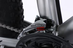 Bicicleta Eléctrica Clásica con Llantas Gruesas en Oferta, Batería Integrada, Motor de Alta Potencia, Gran Autonomía, Ns-zd010 - Product Image 3