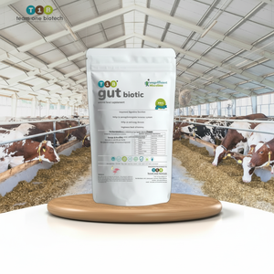 Aditivos para piensos Probióticos de rendimiento de crecimiento constante - Product Image 1