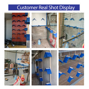 Perchoir Résistant en Plastique pour Pigeons, Support de Repos Anti-Gel en Bois pour Pigeons de Course, Accessoires pour Oiseaux - Product Image 6