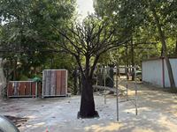 Arbre d'olivier artificiel personnalisé avec tronc en fibre de verre, grand arbre artificiel en fibre de verre pour la décoration