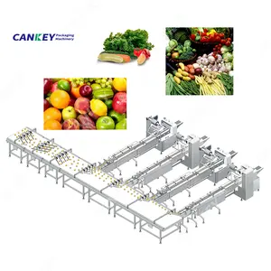 Automatic Flow Frozen Vegetable Pack Cucumber Cherry Tomato Packing Machine with Tray