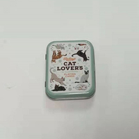 Boîte de rangement en fer blanc vide pour collection de jouets, cartes, outils, artisanat, cadeaux et souvenirs pour enfants - Vente en gros