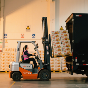 Hiệu quả Door-to-DOOR FCL vận tải đường biển dịch vụ từ thanh đảo để vilnius của lithuania và klaipeda Container vận chuyển - Product Image 5