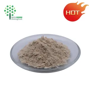 Cosmetic Grade Raw Material Tremella Fuciformis Sporocarp Extract Polysaccharide 80%