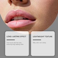 Gloss à lèvres longue tenue effet soft focus (Rouge Rétro), texture lisse, facile à retoucher, plusieurs couleurs, polyvalent pour le maquillage quotidien des lèvres