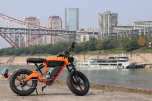HXZ <strong>Foldable</strong> <strong>Electric</strong> Off-Road <strong>Motorcycle</strong> 20 Inch Lightweight Portable 48V 61-80km/h for Urban Daily Riding - Product Image 6