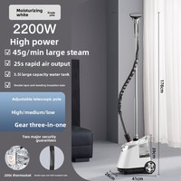 Vapeur de vêtement commercial électrique haute puissance nouvelle Machine à repasser à la maison conception verticale rétractable pour les vêtements à usage domestique