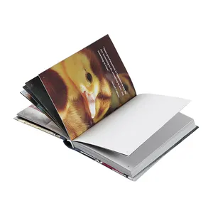 OEM Porcellana personalizzato notebook hardcover diario planner mensile di stampa