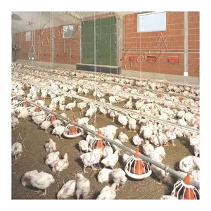 Low Price Modern Design Broiler Chicken House Poultry Farm For Sale