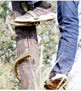 Électricien en <span class=keywords><strong>bois</strong></span> pôle <span class=keywords><strong>pied</strong></span> boucle escalade arbres artefact pôle escalade pointes - Product Image 6