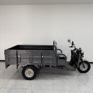 Tricycle électrique express à conteneur ouvert LEON, autres tricycles, vélo <span class=keywords><strong>cargo</strong></span> à vendre - Product Image 6