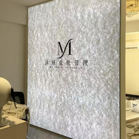 Boîte lumineuse suspendue en papier DuPont avec rétroéclairage LED, texture translucide, impression UV, logo personnalisé, enseigne publicitaire pour magasin, suspendue en aluminium