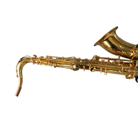 Eastern Music Gold Lacquer Brass Body Bb Tenor Saxophone Ala 82 Professional Wind Instrument for Performance