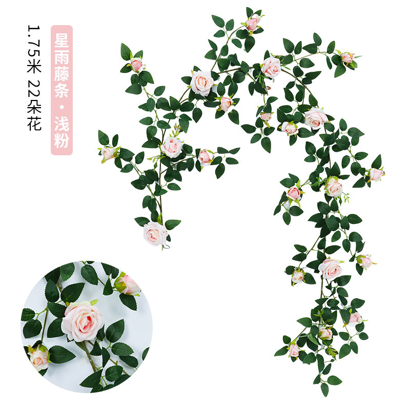 Vignes de roses de bon augure [rose clair]