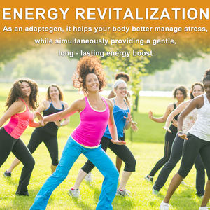 Chá de Ginseng Orgânico Dez Tesouros para os Rins, Chá Herbal Natural Chinês para Limpeza e Desintoxicação para Mulheres e Homens - Product Image 4