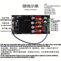 TPA3255 Carte d'amplificateur de puissance numérique HIFI haute puissance à double canal 2*300W stéréo classe D Fever Modules et kits électroniques