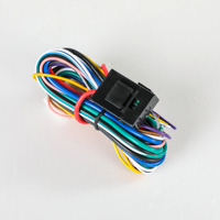 Nouvelles arrivées Lève-vitre électrique Dc 12V 2 portes Module de lève-vitre électrique pour voiture