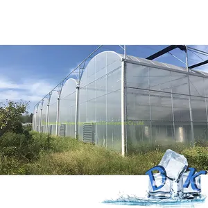 水培系统多跨农业设备薄膜温室聚塑料聚氯乙烯薄膜隧道温室
