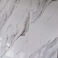 Nouveaux Panneaux Muraux en PVC Imperméables aux Designs Modernes 2026 pour Salle de Bain et Plafond