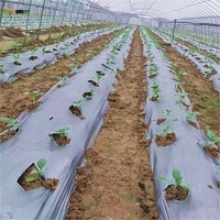 Film de paillage en PE noir argenté haute résistance, couverture de sol agricole en plastique robuste