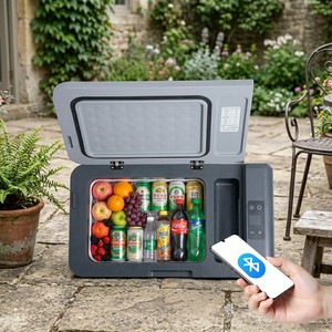 <b>Portable</b> Car Refrigerator 21L 22QT Dual Zone Cooling App Control 12V 24V Vehicle 100V 240V Home Dual-Zone Design Keeps Food and - Product Image 1